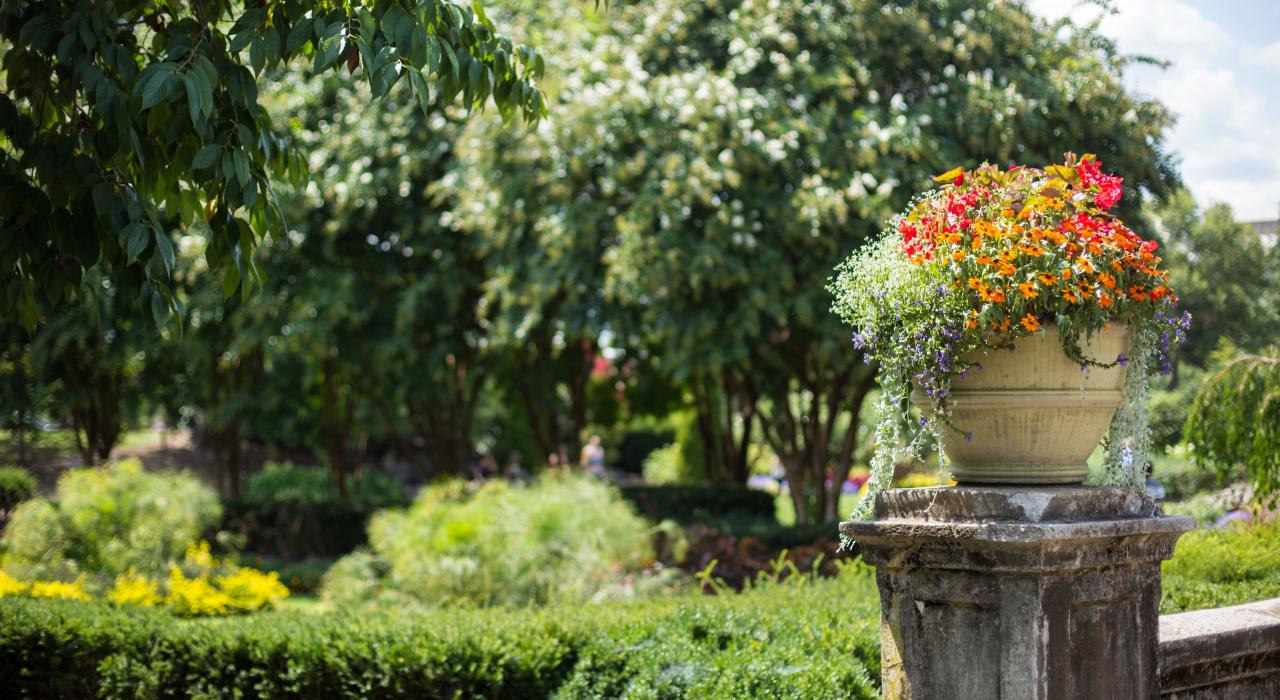 Flowers in landscaped gardens, Nashville, Tennessee