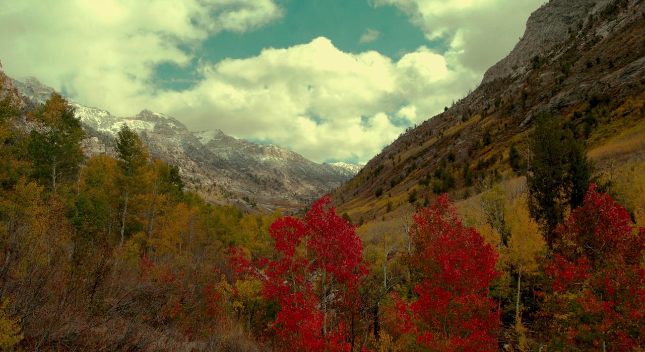 Scenic view of Lamoille Canyon in Nevada