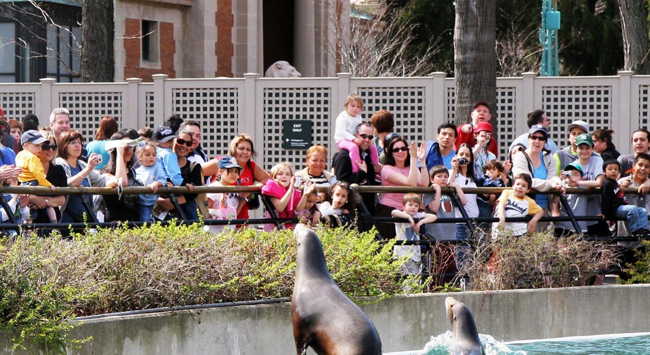 Visitors enjoying a sea lion encounter at the Bronx Zoo 