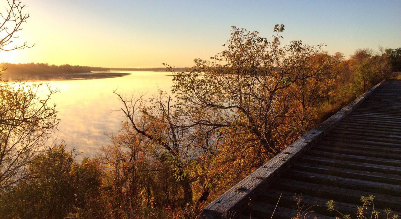 Fall foliage surrounding a boardwalk path next to the Missouri River in Bismarck, South Dakota