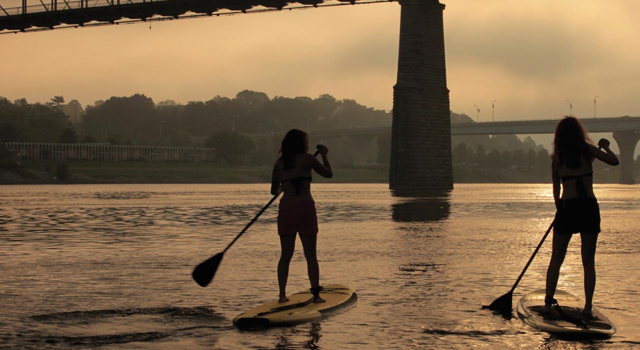 Paddle boarders on the Tennessee River head toward the Walnut Street Bridge