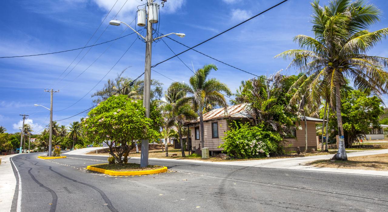 Historic houses and tropical foliage line a quaint city street