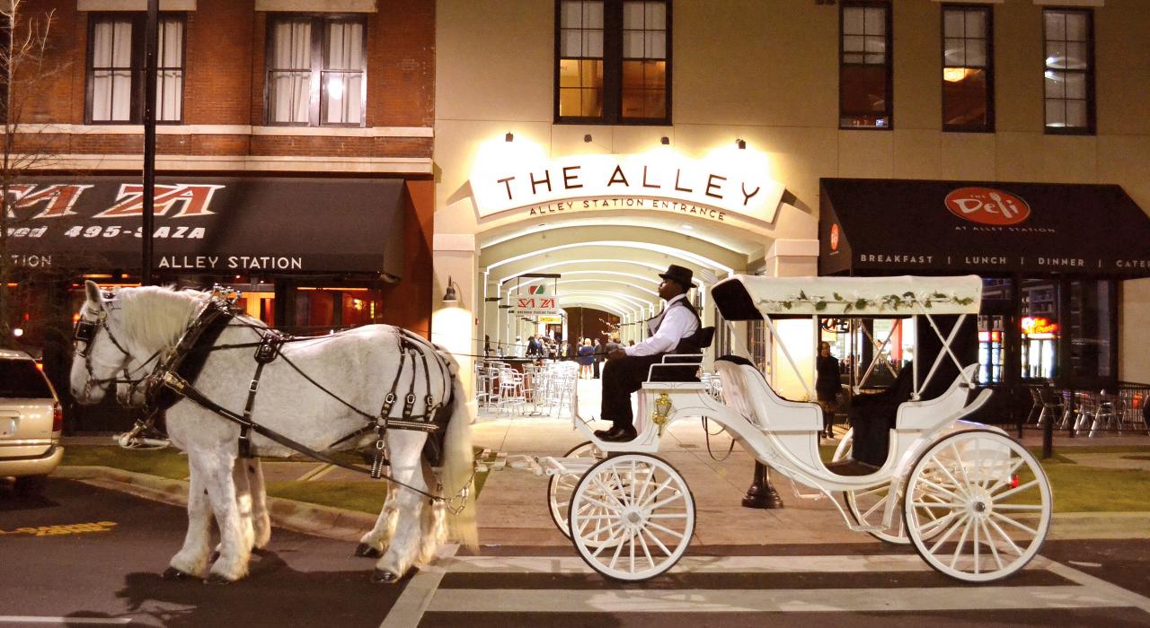 A horse-drawn carriage parked outside The Alley Station entertainment complex