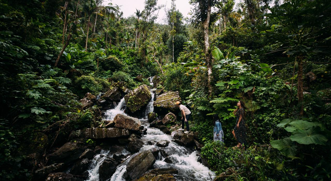 Explorando cascadas en El Yunque National Forest