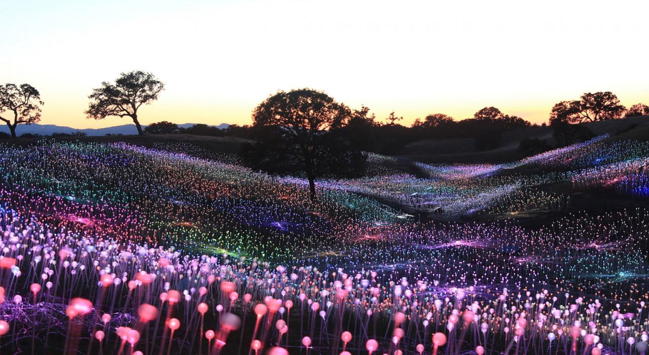 The enchanting Field of Light at Sensorio, a walk-through art installation by Bruce Munro