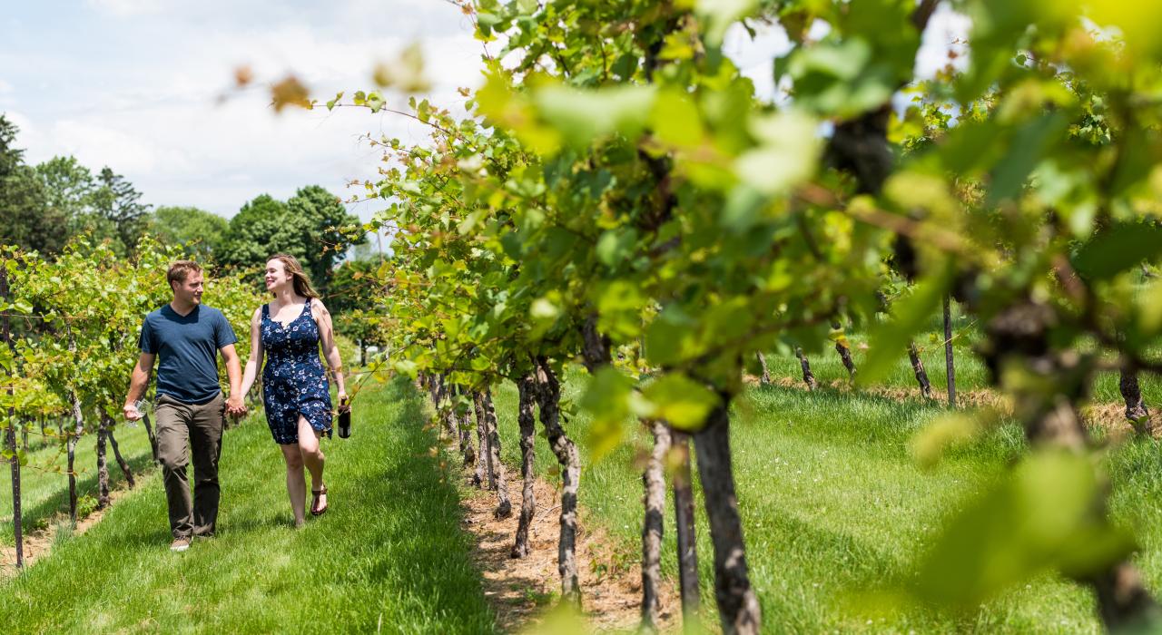 Couple strolling among the vines at Clover Hill Vineyard & Winery