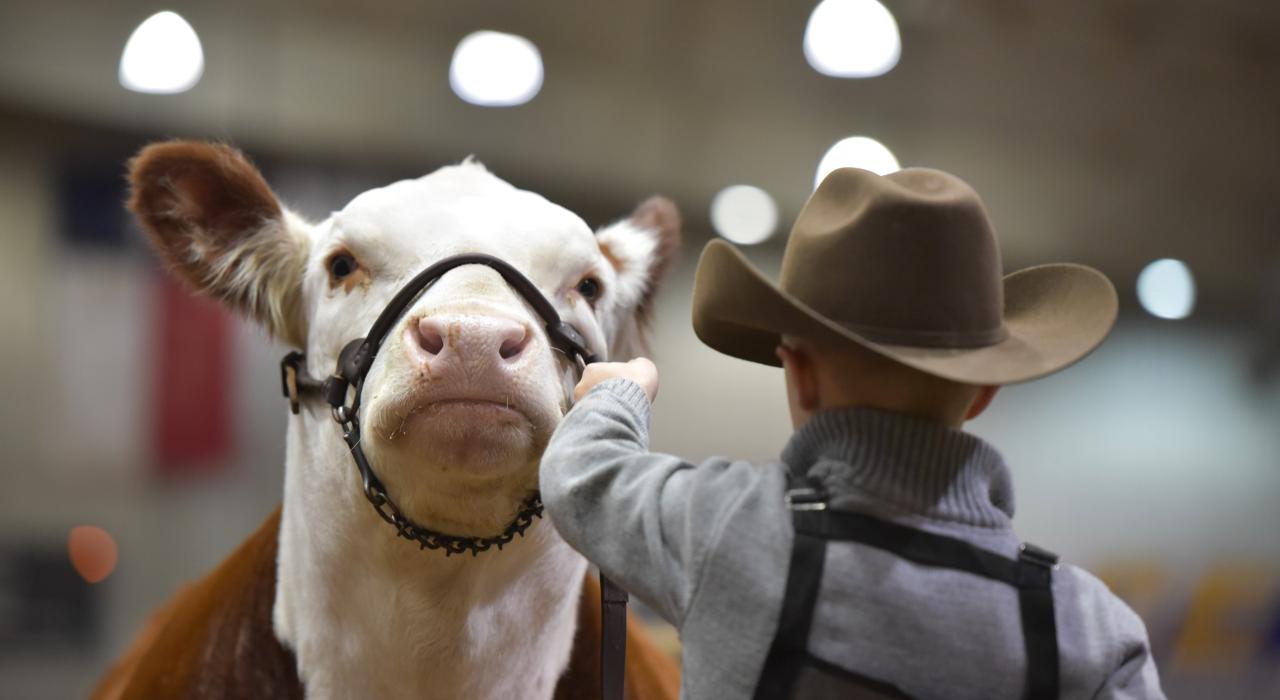 サン・アンジェロ・ストック・ショー＆ロデオで、農場の動物たちとふれあいます