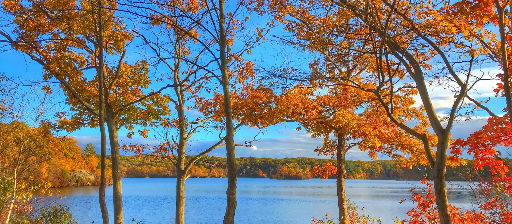 紅葉に彩られたリンカーンウッズ州立公園
